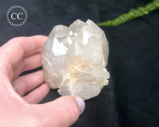 California Fissure Quartz #1