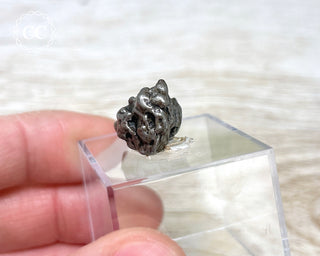 Campo del Cielo Meteorite #2