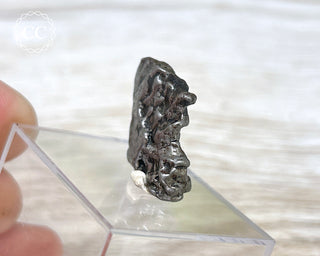 Campo del Cielo Meteorite #9