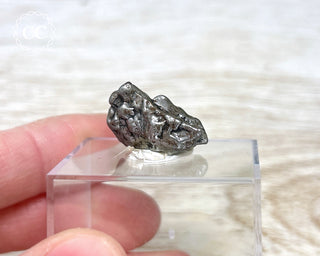 Campo del Cielo Meteorite #2