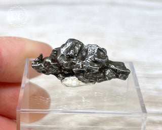 Campo del Cielo Meteorite #1