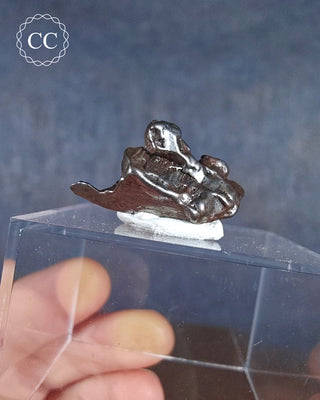 Campo del Cielo Meteorite #5