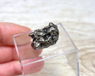 Campo del Cielo Meteorite #2