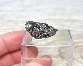 Campo del Cielo Meteorite #3