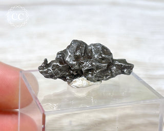 Campo del Cielo Meteorite #1