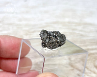Campo del Cielo Meteorite #3