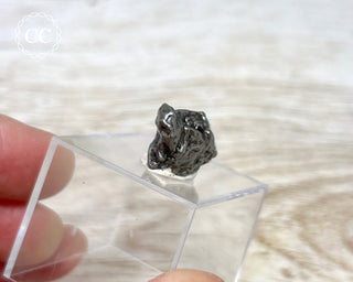 Campo del Cielo Meteorite #3