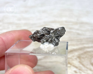 Campo del Cielo Meteorite #3