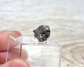 Campo del Cielo Meteorite #3