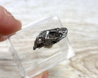 Campo del Cielo Meteorite #3