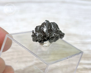 Campo del Cielo Meteorite #1