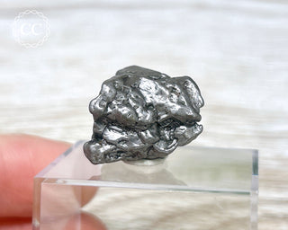 Campo del Cielo Meteorite #3