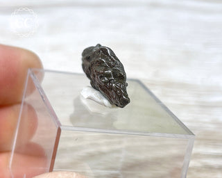 Campo del Cielo Meteorite #1