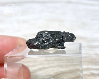 Campo del Cielo Meteorite #4