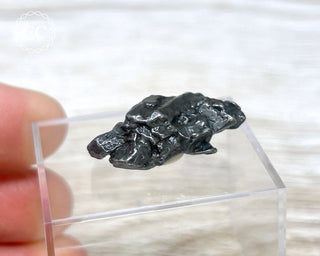 Campo del Cielo Meteorite #4