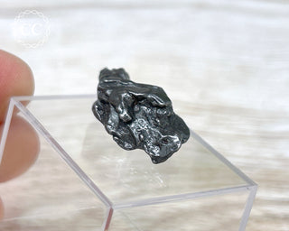 Campo del Cielo Meteorite #4