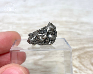Campo del Cielo Meteorite #2