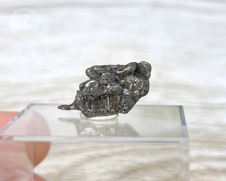 Campo del Cielo Meteorite #5