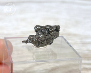 Campo del Cielo Meteorite #5