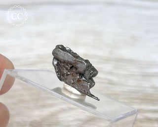 Campo del Cielo Meteorite #5