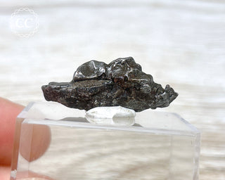 Campo del Cielo Meteorite #1