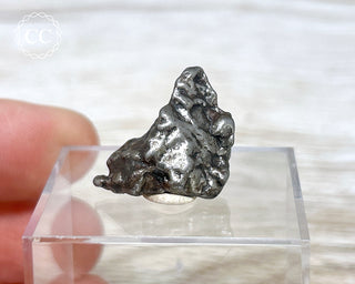 Campo del Cielo Meteorite #6
