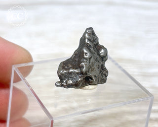 Campo del Cielo Meteorite #6