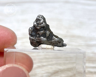 Campo del Cielo Meteorite #6