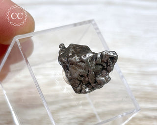 Campo del Cielo Meteorite #6