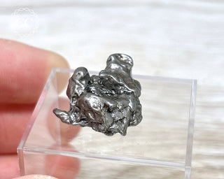 Campo del Cielo Meteorite #7