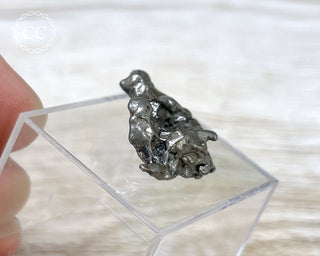 Campo del Cielo Meteorite #7