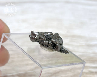 Campo del Cielo Meteorite #7