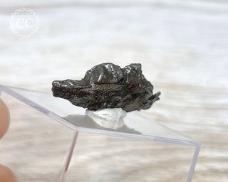 Campo del Cielo Meteorite #1