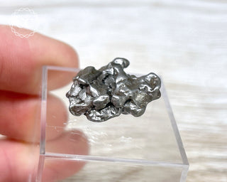 Campo del Cielo Meteorite #7