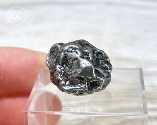 Campo del Cielo Meteorite #8