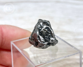 Campo del Cielo Meteorite #8