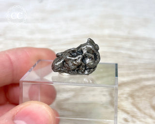 Campo del Cielo Meteorite #2