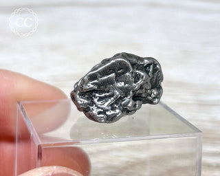 Campo del Cielo Meteorite #8