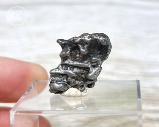 Campo del Cielo Meteorite #9