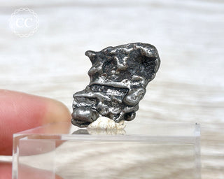 Campo del Cielo Meteorite #9