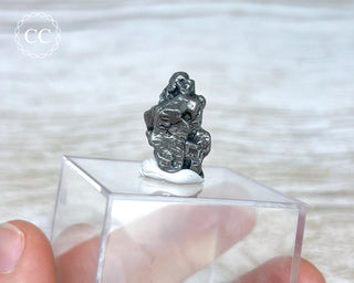 Campo del Cielo Meteorite #6