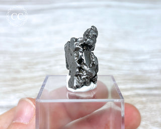 Campo del Cielo Meteorite #2