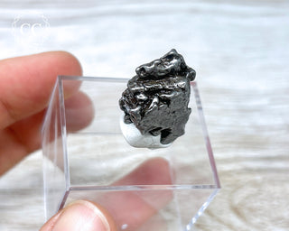 Campo del Cielo Meteorite #2