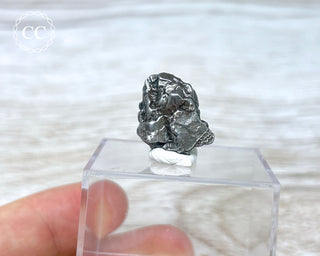 Campo del Cielo Meteorite #3