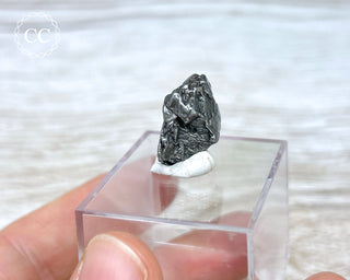 Campo del Cielo Meteorite #3