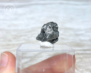 Campo del Cielo Meteorite #3
