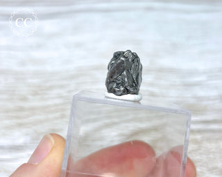 Campo del Cielo Meteorite #4