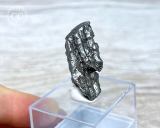 Campo del Cielo Meteorite #1