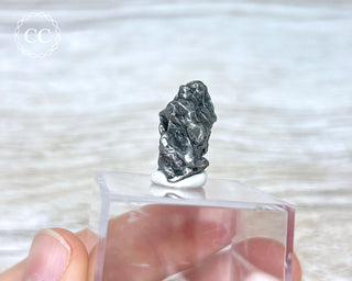 Campo del Cielo Meteorite #6