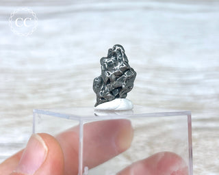 Campo del Cielo Meteorite #6